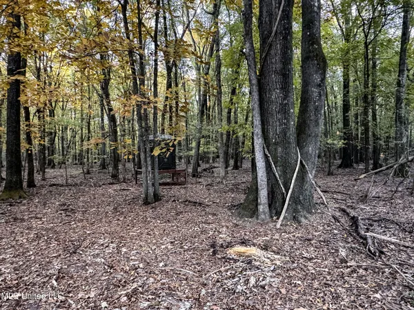 $147,500 | Howard Street, Marks, MS 38646