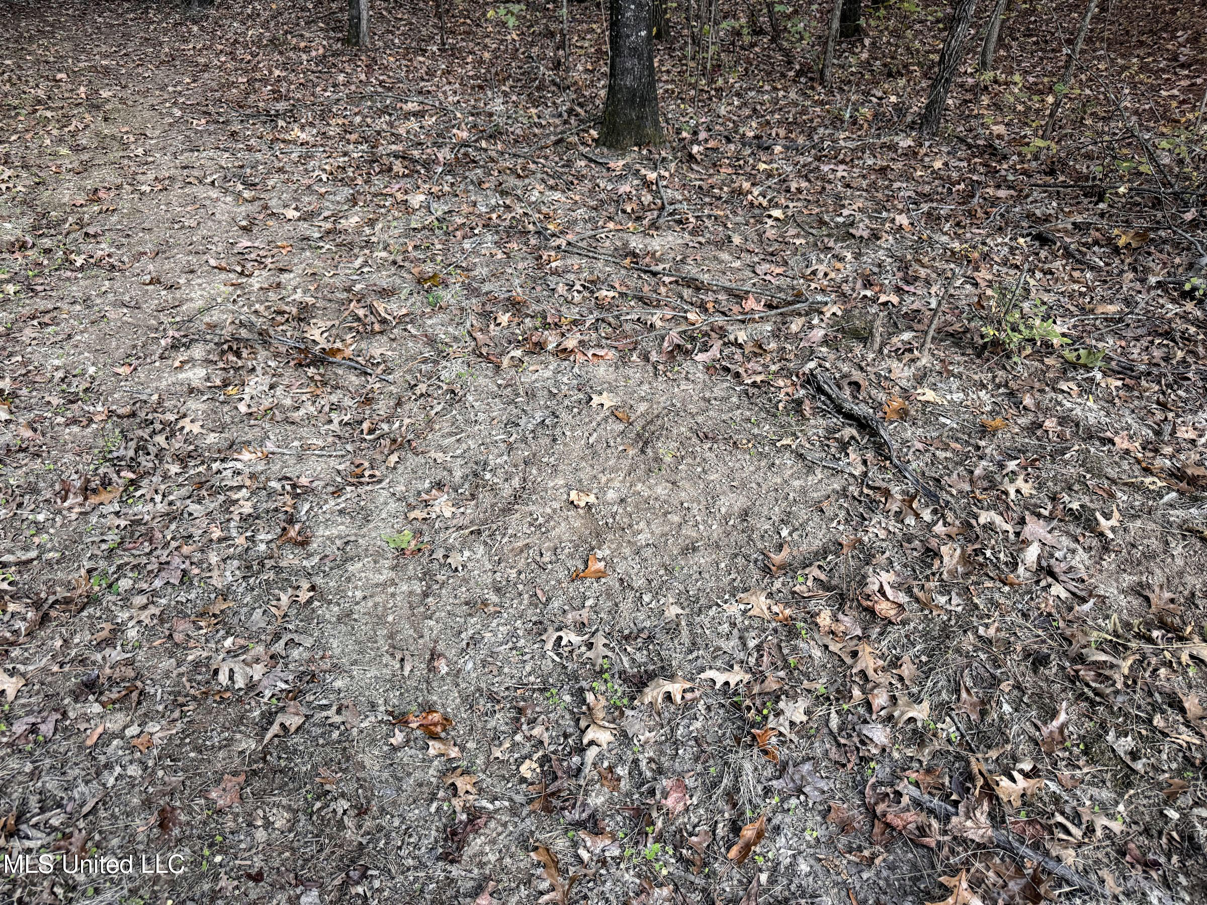 Howard Street Marks, MS 38646 - Photo 57 of 61 3cpqcfty55