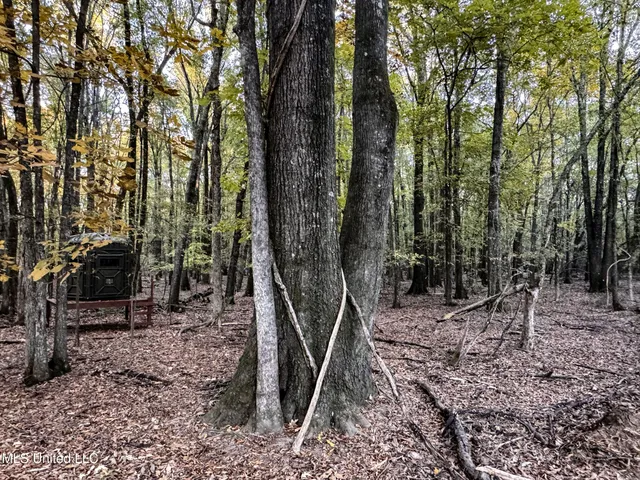 $148,000 | Howard Street, Marks, MS 38646