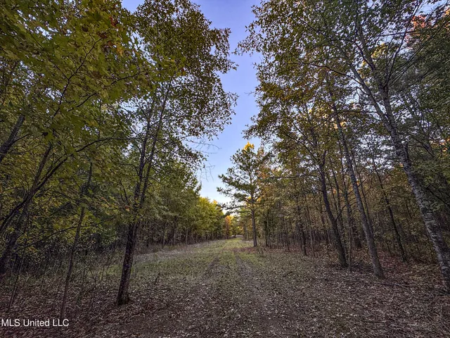 $168,000 | Howard Street, Marks, MS 38646