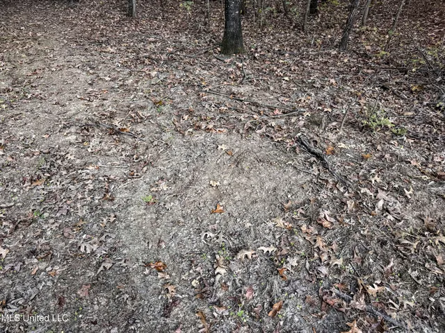 $148,000 | Howard Street, Marks, MS 38646