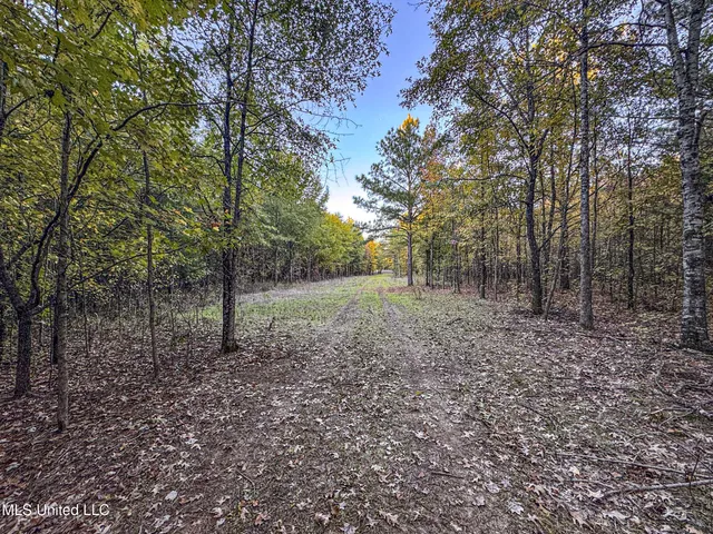 $148,000 | Howard Street, Marks, MS 38646