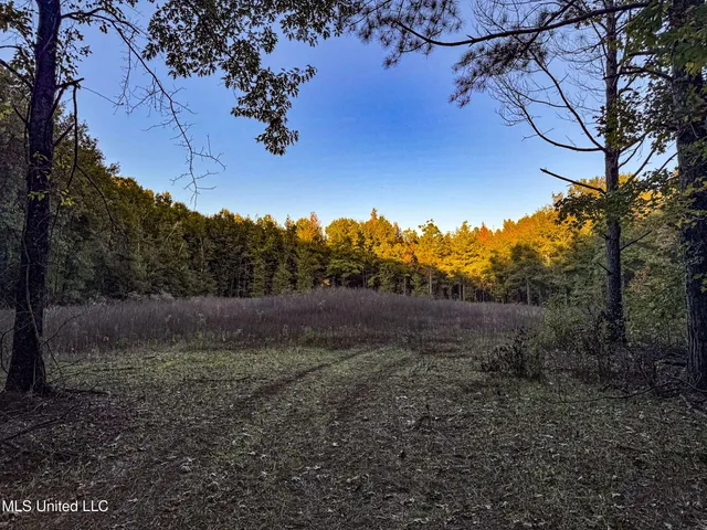 $168,000 | Howard Street, Marks, MS 38646