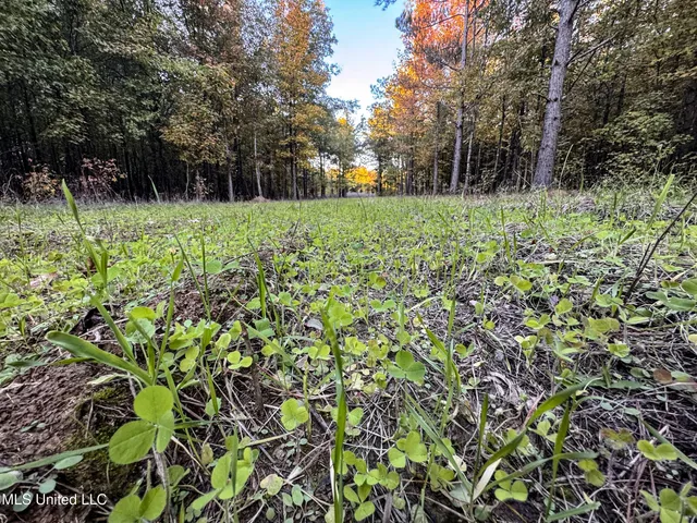 $148,000 | Howard Street, Marks, MS 38646