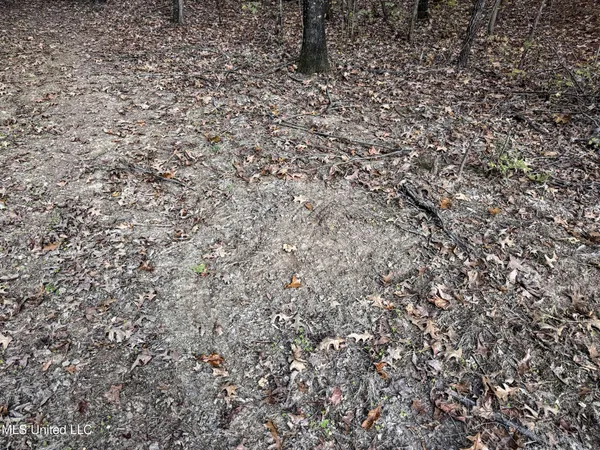 $147,500 | Howard Street, Marks, MS 38646