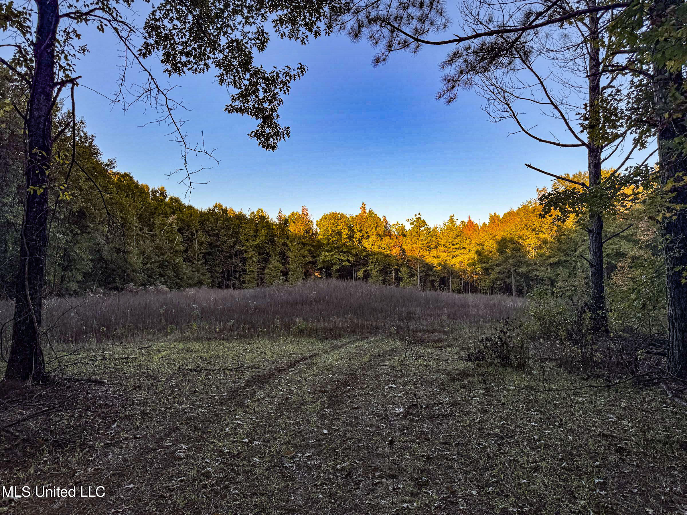 Howard Street Marks, MS 38646 - Photo 64 of 64 3cpqcfty66