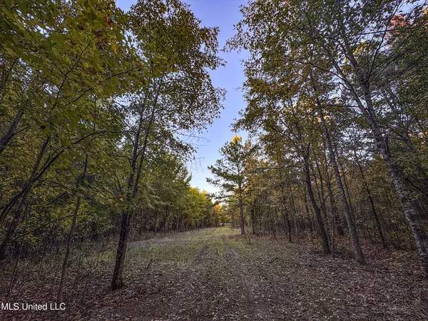 $147,500 | Howard Street, Marks, MS 38646