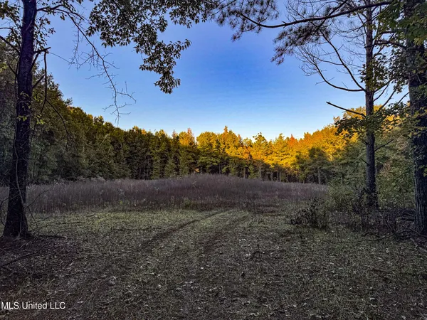 $147,500 | Howard Street, Marks, MS 38646