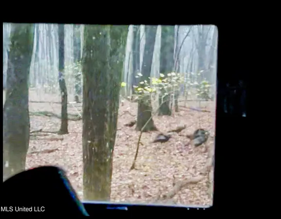 $147,500 | Howard Street, Marks, MS 38646