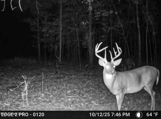 $148,000 | Howard Street, Marks, MS 38646