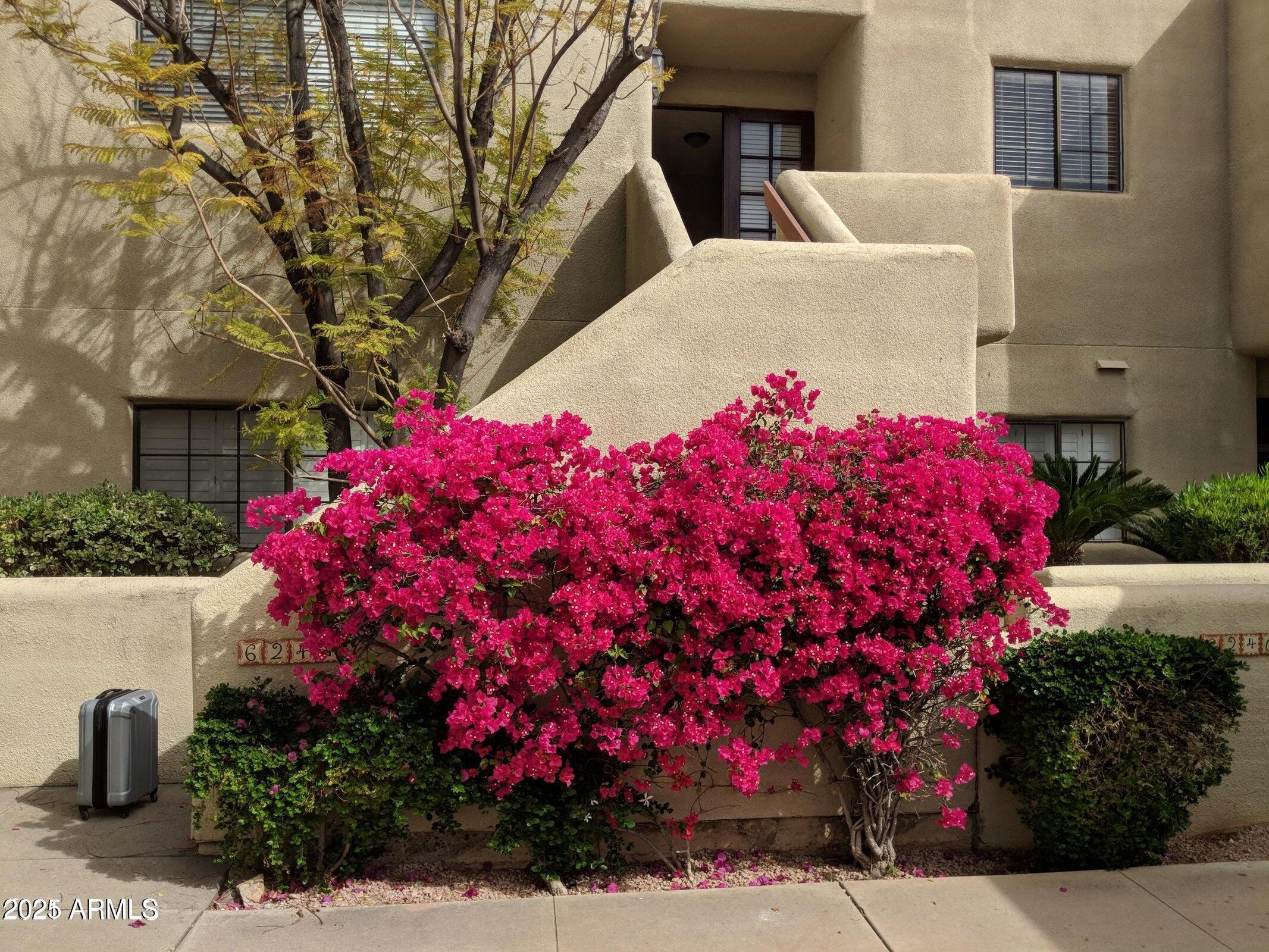 6244 North 30th Place Phoenix, AZ 85016 - Photo 21 of 26 Entry