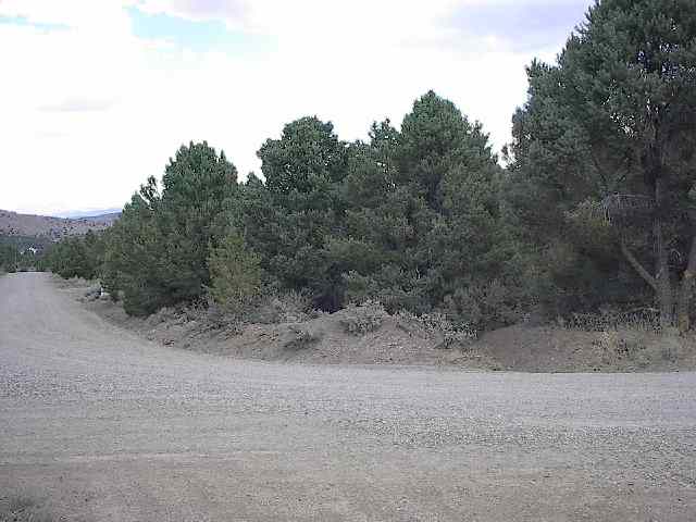 1745 Empire Road Reno, NV 89521 - Photo 1 of 3