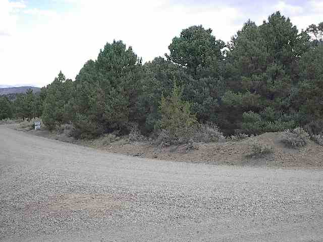 1745 Empire Road Reno, NV 89521 - Photo 3 of 3