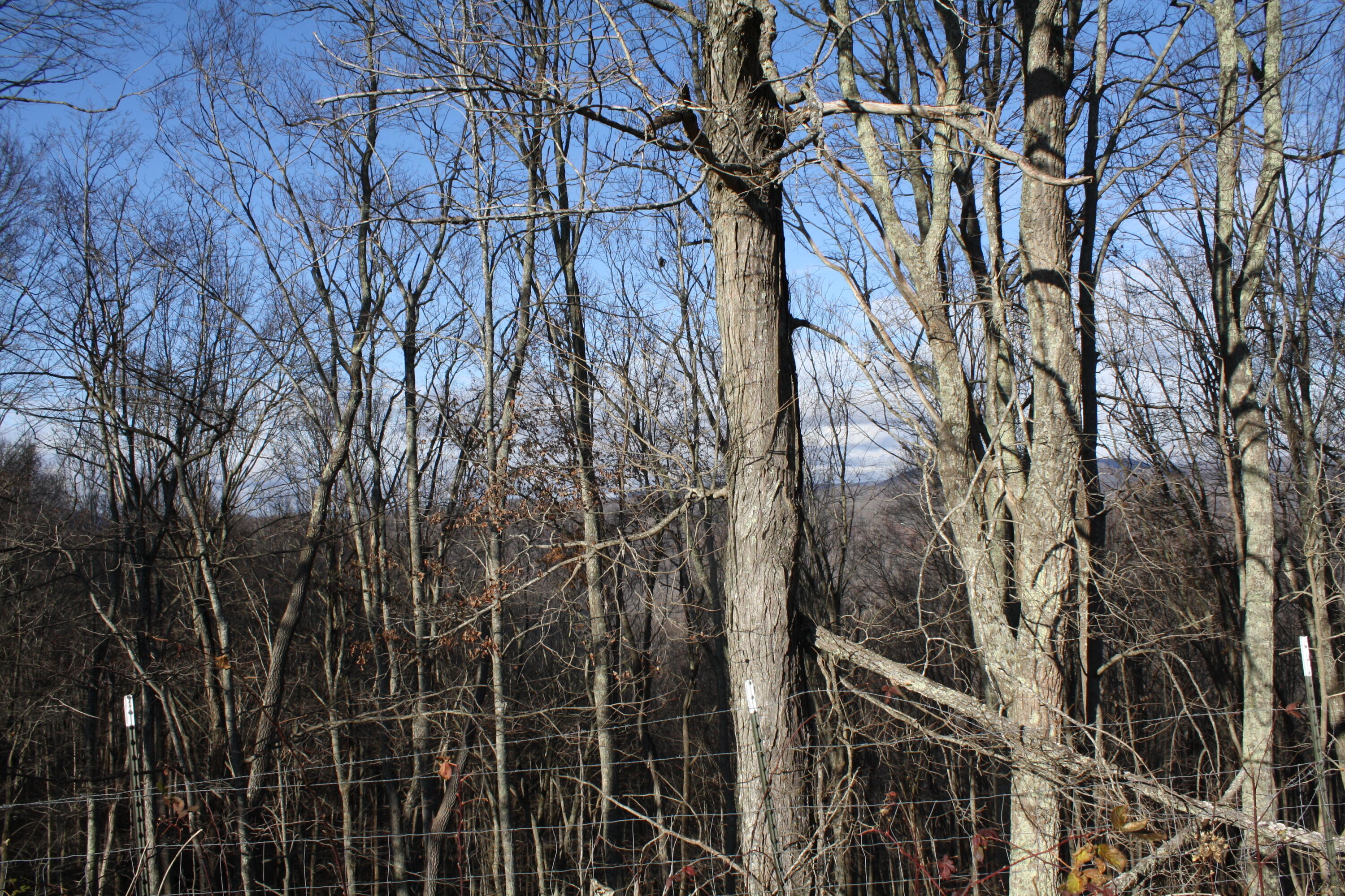 Zion Mountain Road Hinton, WV 25951 - Photo 54 of 73 Gallery Image 54