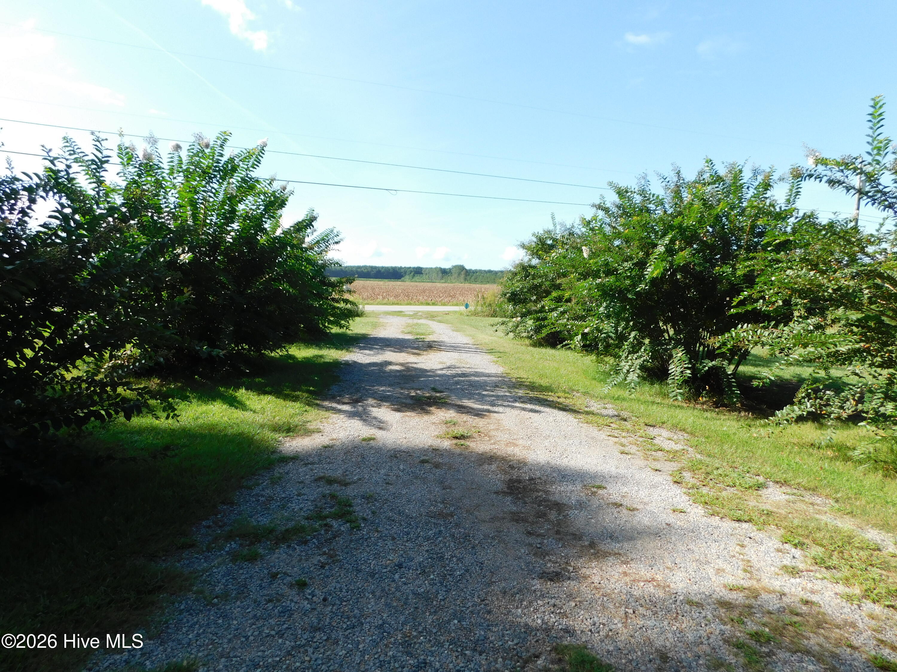 825 Yeopim Road Edenton, NC 27932 - Photo 22 of 30 Gallery Image 22