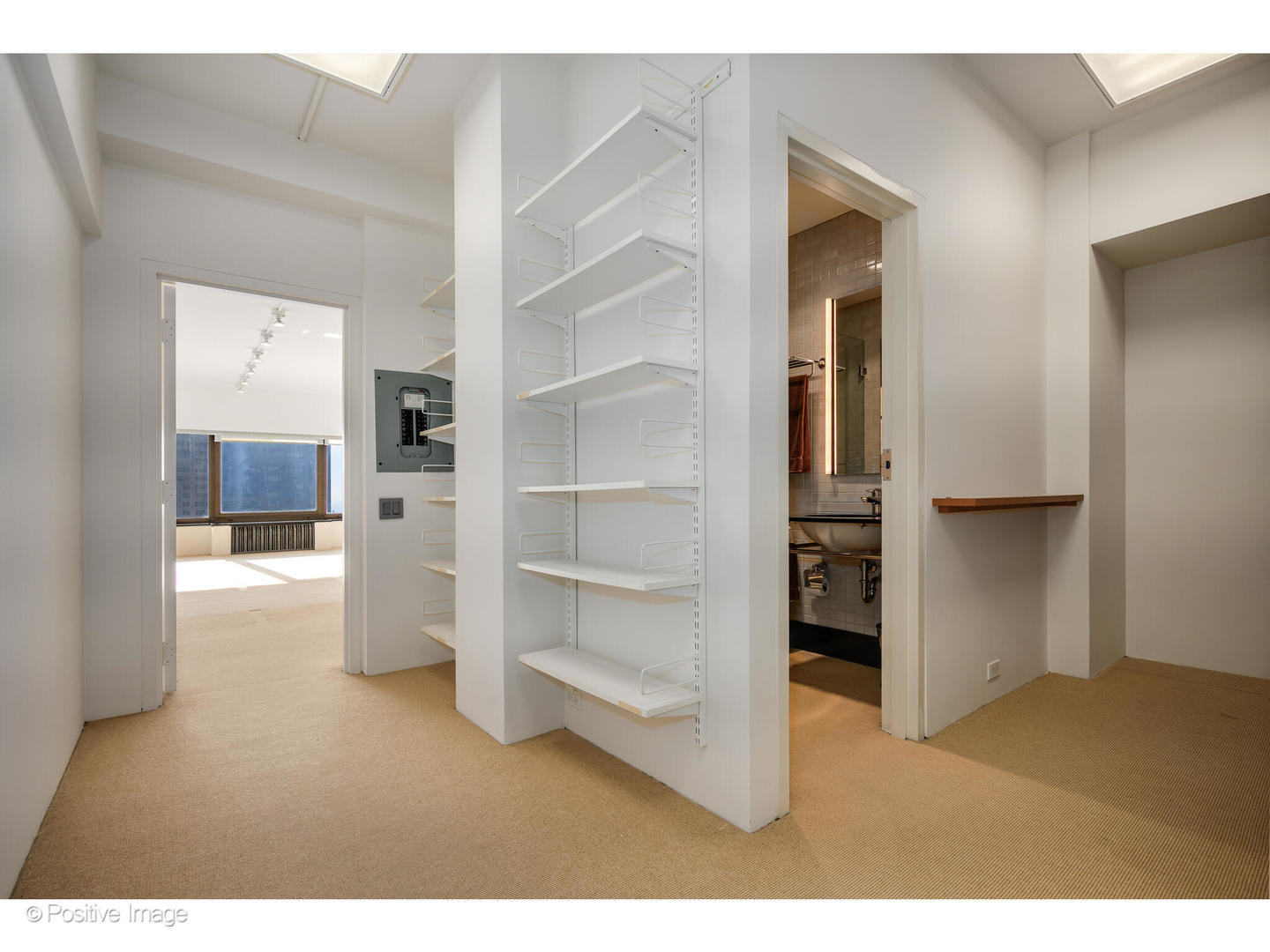 175 East Delaware Place, Unit 5116 Chicago, IL 60611 - Photo 27 of 43 a room with closet and a view of bathroom