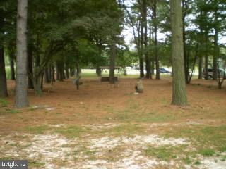 28210 Nanticoke Road Salisbury, MD 21801 - Photo 4 of 4 Gallery Image 4