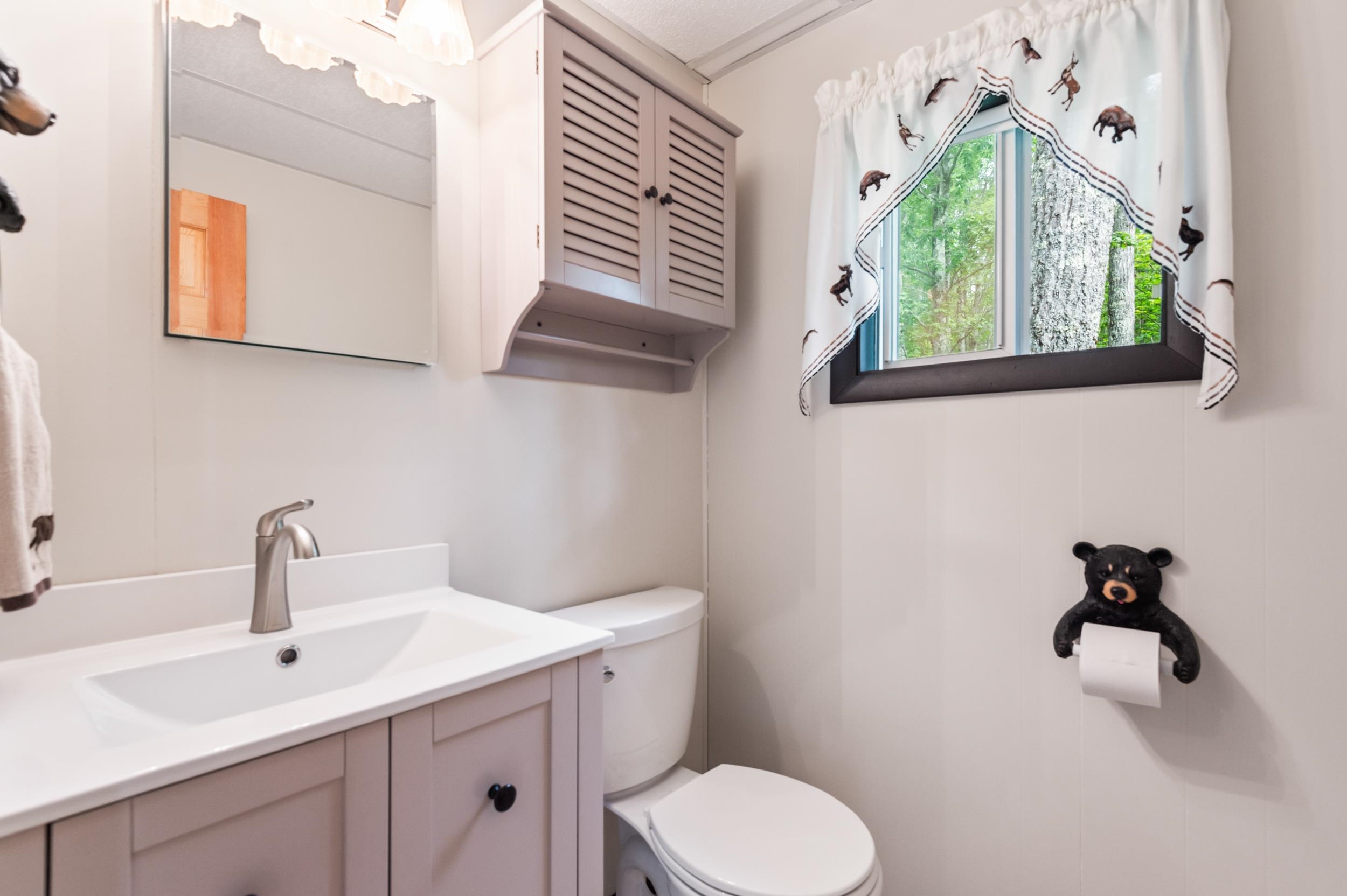37 Oak Ridge Road Madison, NH 03849 - Photo 12 of 49 Gallery Image 12