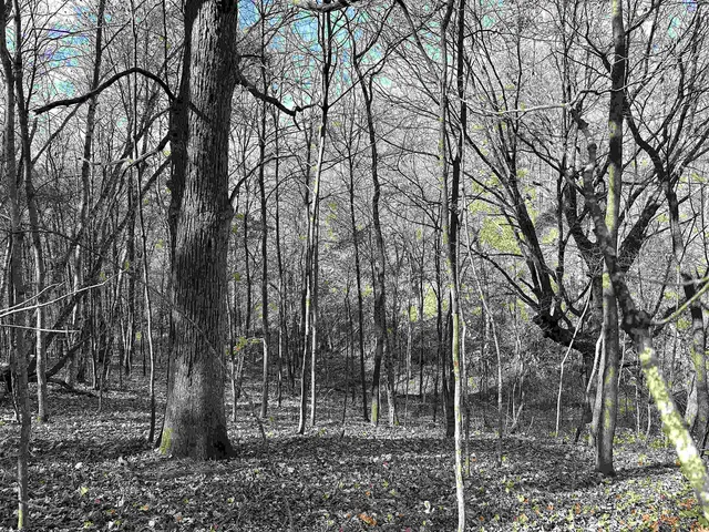 $2,090,000 | 21478 Co Hwy ZZ, Richland Center, WI 53581