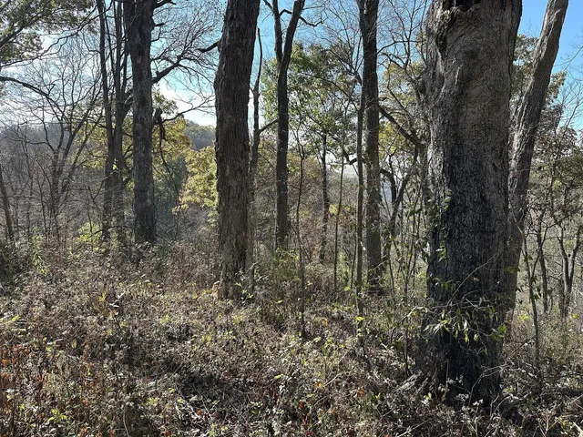 $2,090,000 | 21478 Co Hwy ZZ, Richland Center, WI 53581