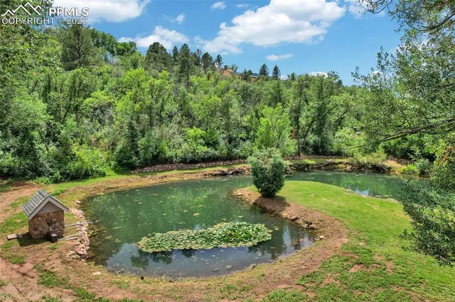a view of a garden with a lake