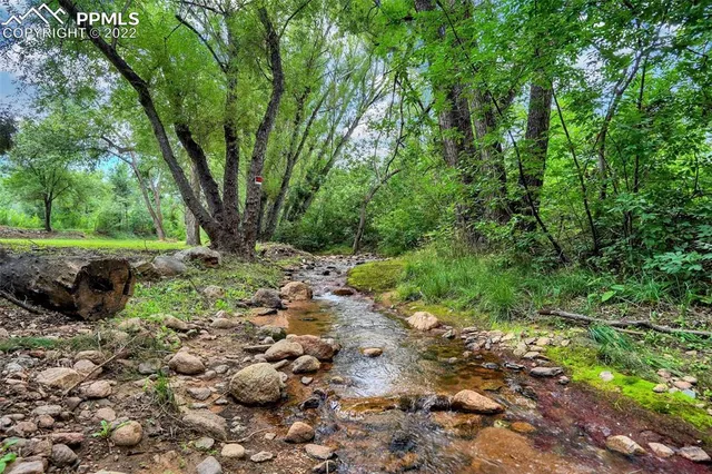 a view of backyard with green space