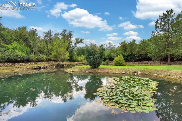 a view of a garden with a bench