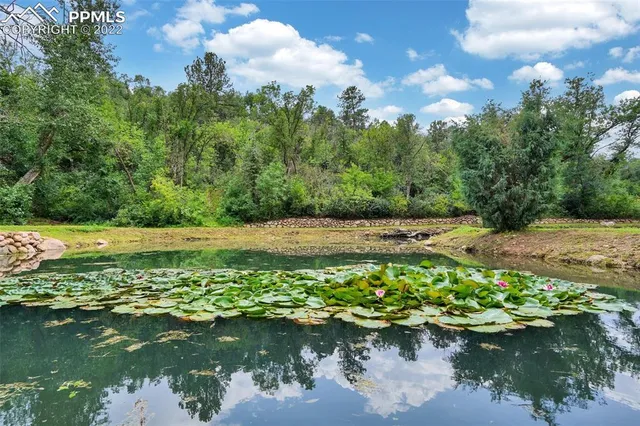 a view of a lake with a yard