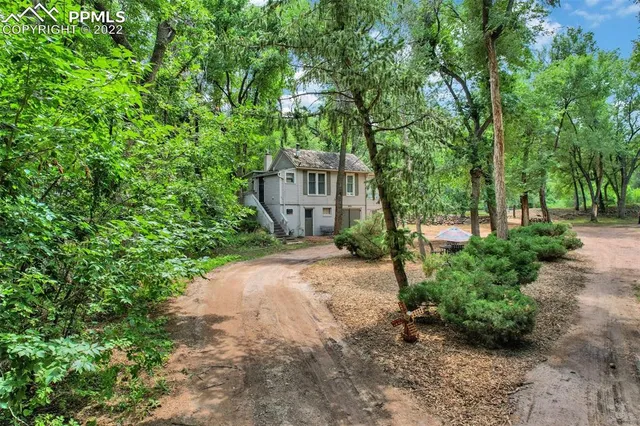 a view of a garden with plants and large trees