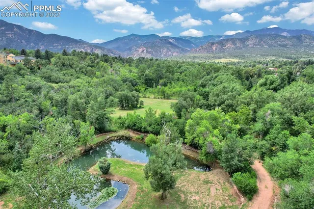 a view of a bunch of trees