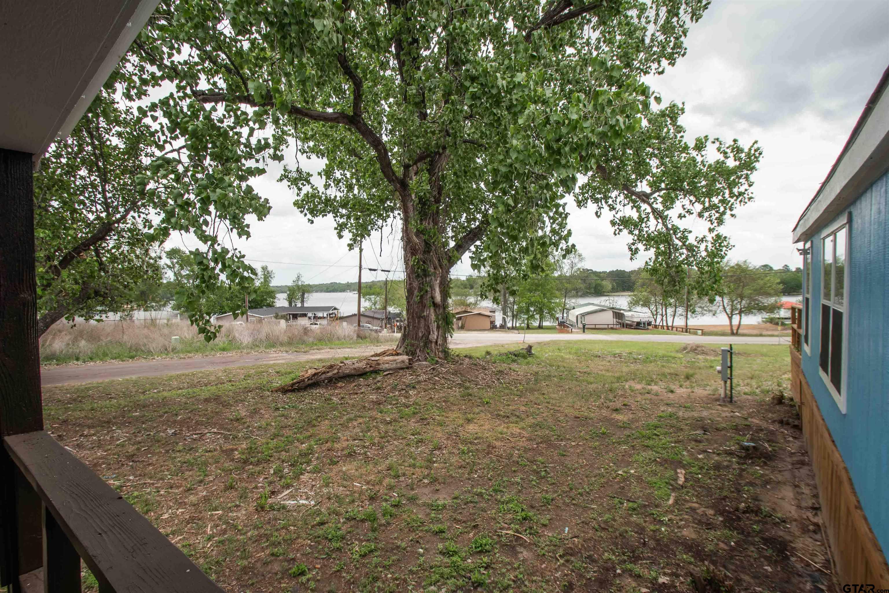 161 Clearview Circle Murchison, TX 75778 - Photo 12 of 47 a view of a yard with an tree