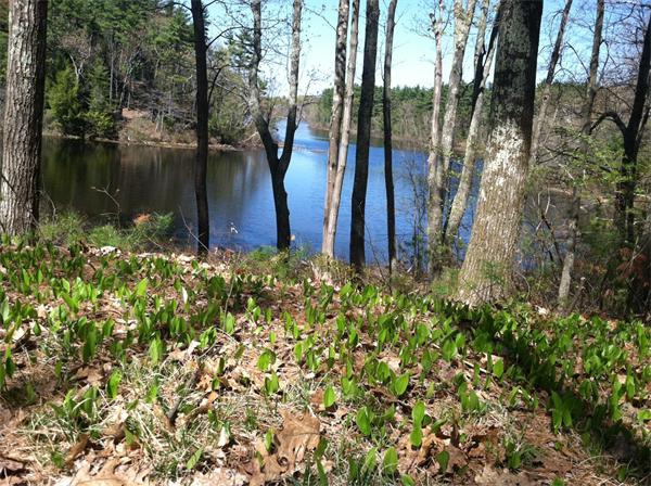 201 Kendall Road Holden, MA 01522 - Photo 28 of 29