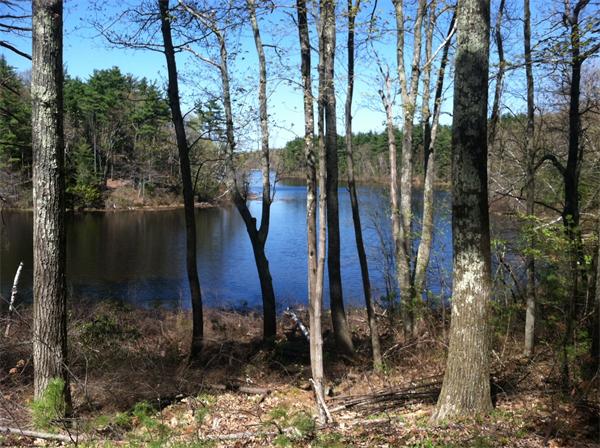 201 Kendall Road Holden, MA 01522 - Photo 29 of 29