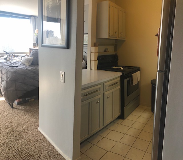 4343 North Clarendon Avenue, Unit 1501 Chicago, IL 60613 - Photo 10 of 18