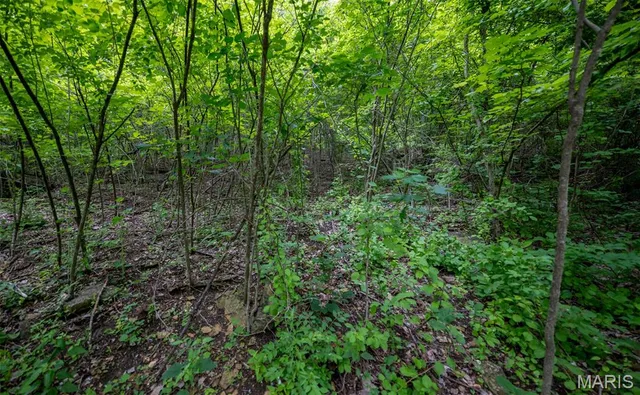 $140,000 | Undisclosed Address, Augusta, MO 63332