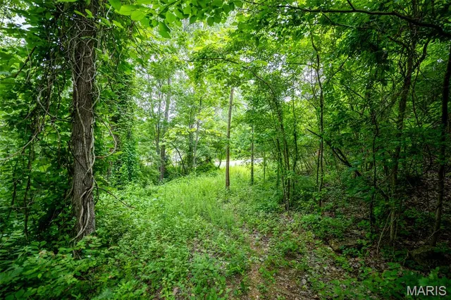 $140,000 | Undisclosed Address, Augusta, MO 63332