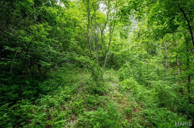 $140,000 | Undisclosed Address, Augusta, MO 63332