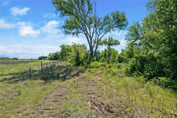 $800,000 | 236 County Road 236, Liberty Hill, TX 78642