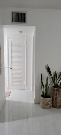 a potted plant sitting on top of a kitchen