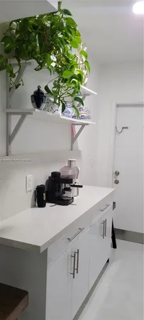 a kitchen with a sink a potted plant and cabinets