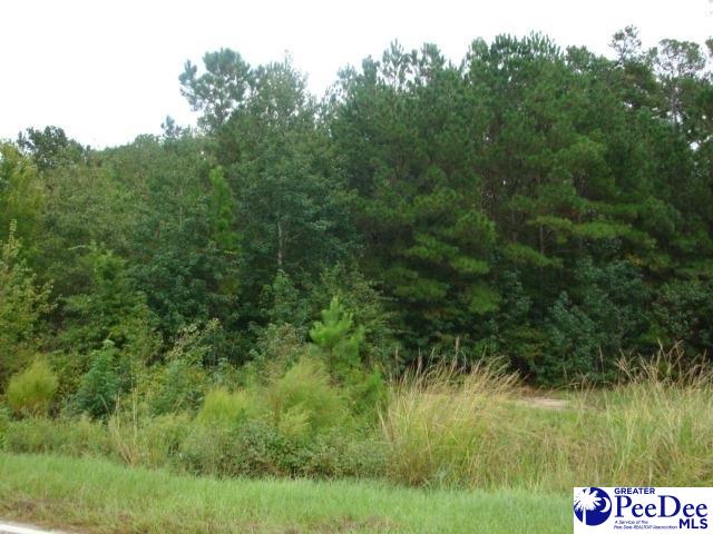 Jeffords Mill Road Darlington, SC 29540 - Photo 1 of 1 Gallery Image 1