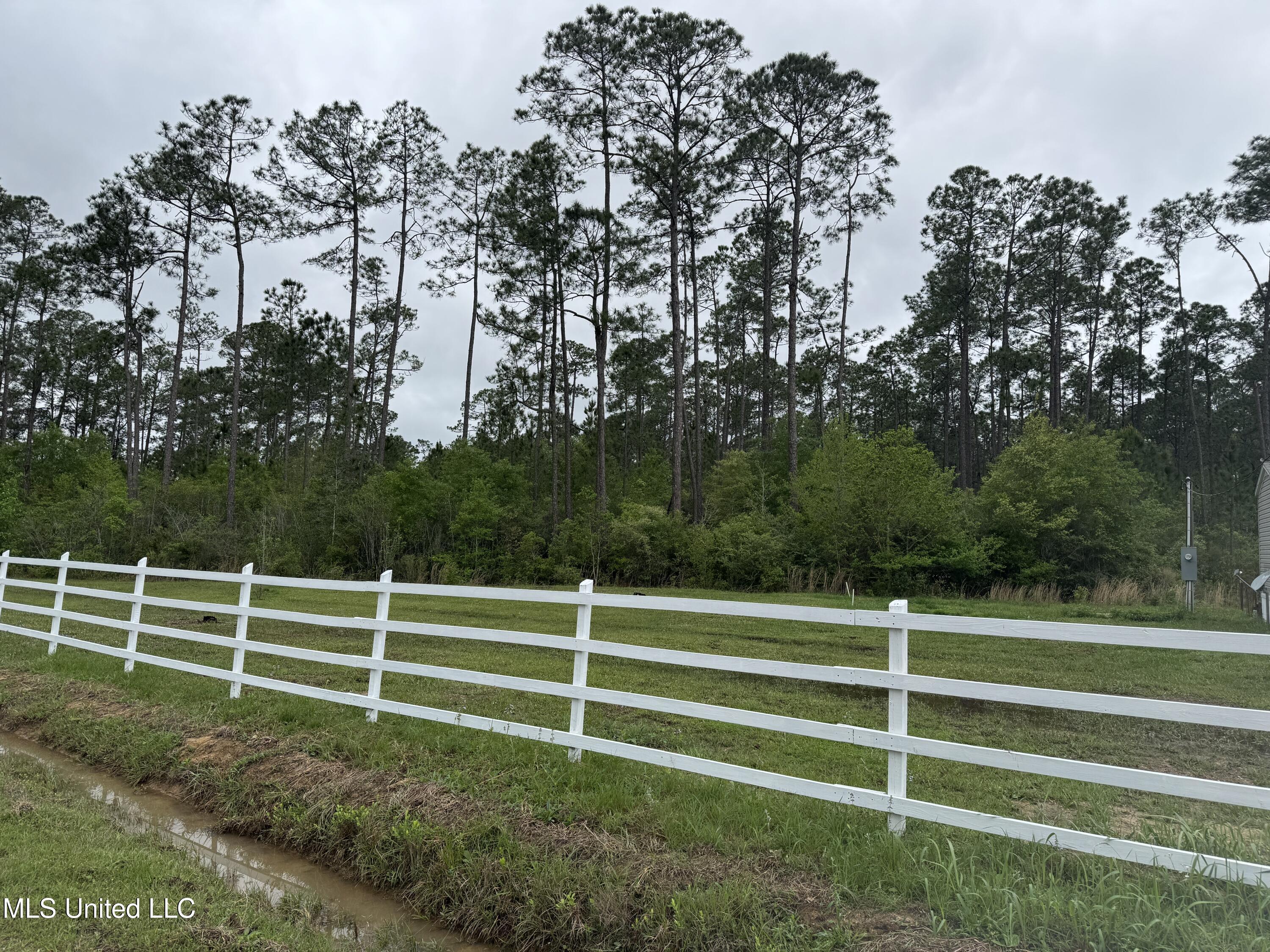 23951 Standard Cemetery Road Kiln, MS 39556 - Photo 11 of 36 Left of the house side yard