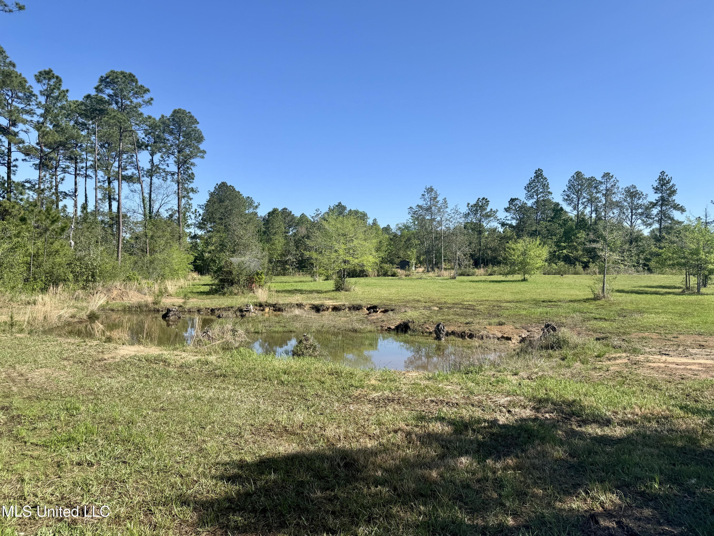 23951 Standard Cemetery Road Kiln, MS 39556 - Photo 32 of 36 Pond