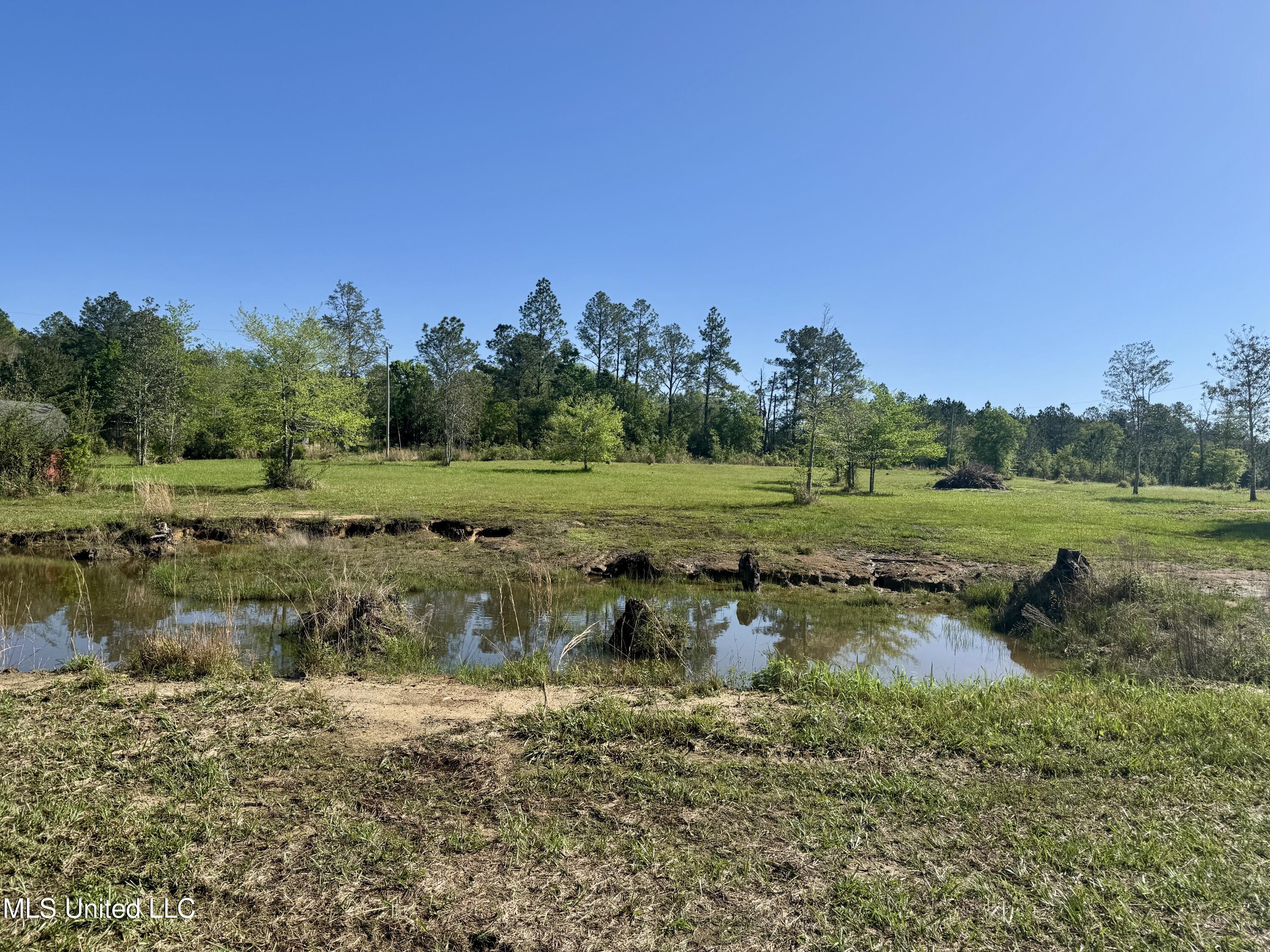 23951 Standard Cemetery Road Kiln, MS 39556 - Photo 33 of 36 Across the property