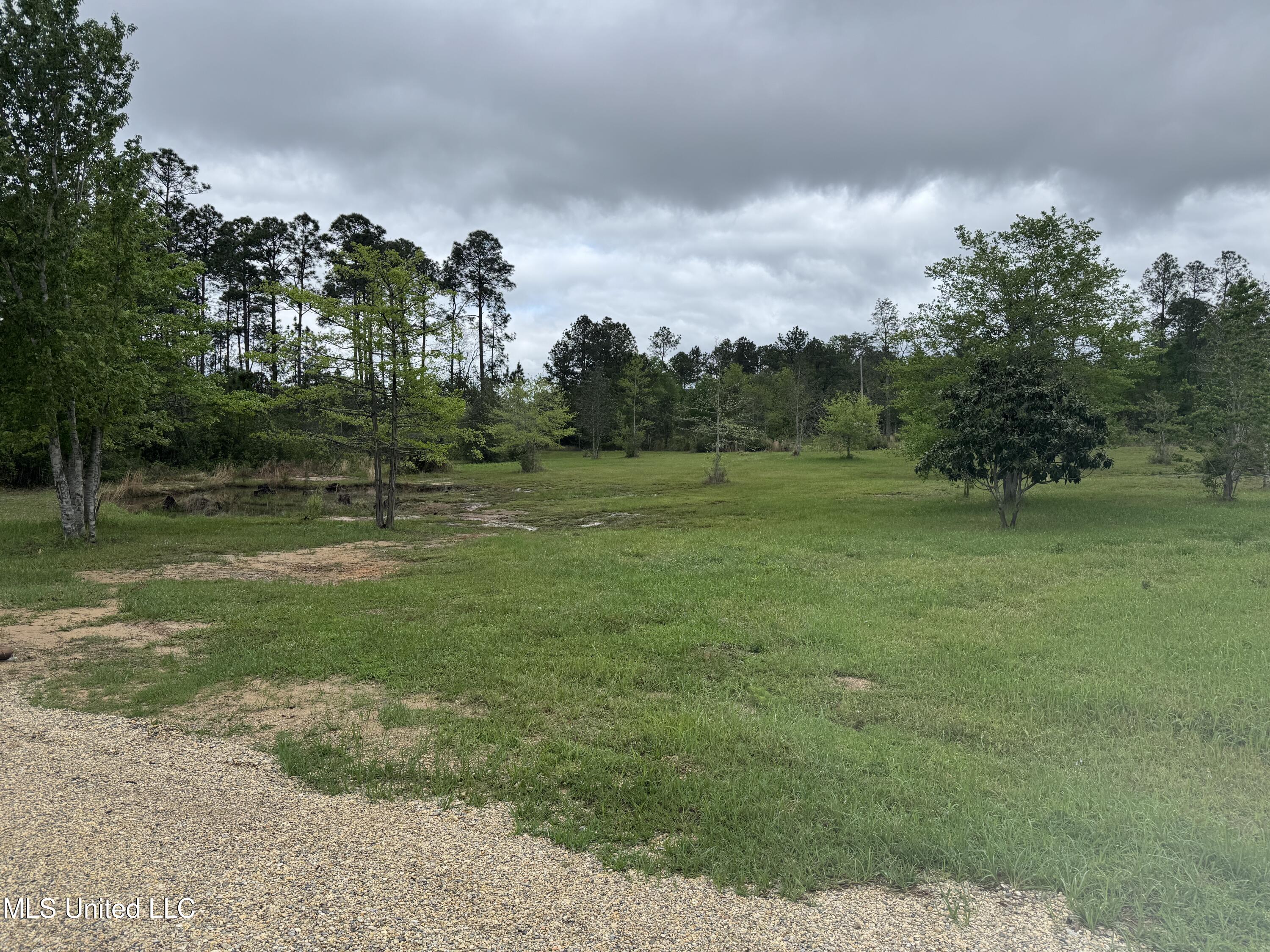 23951 Standard Cemetery Road Kiln, MS 39556 - Photo 10 of 36 yardside with small pond