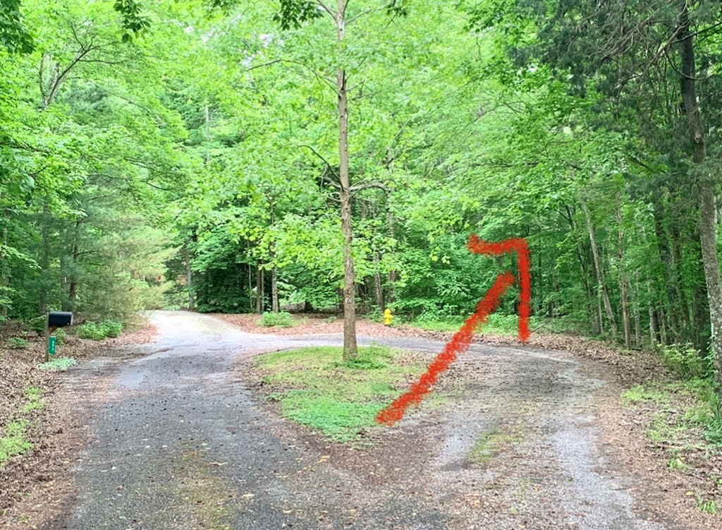 0 Red Cloud Trail Spring City, TN 37381 - Photo 24 of 49