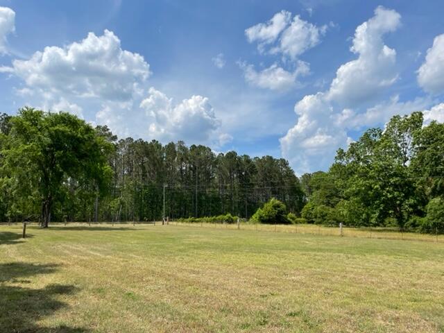 1616 Mt Pleasant Road Thomson, GA 30824 - Photo 55 of 62 IMG_3901