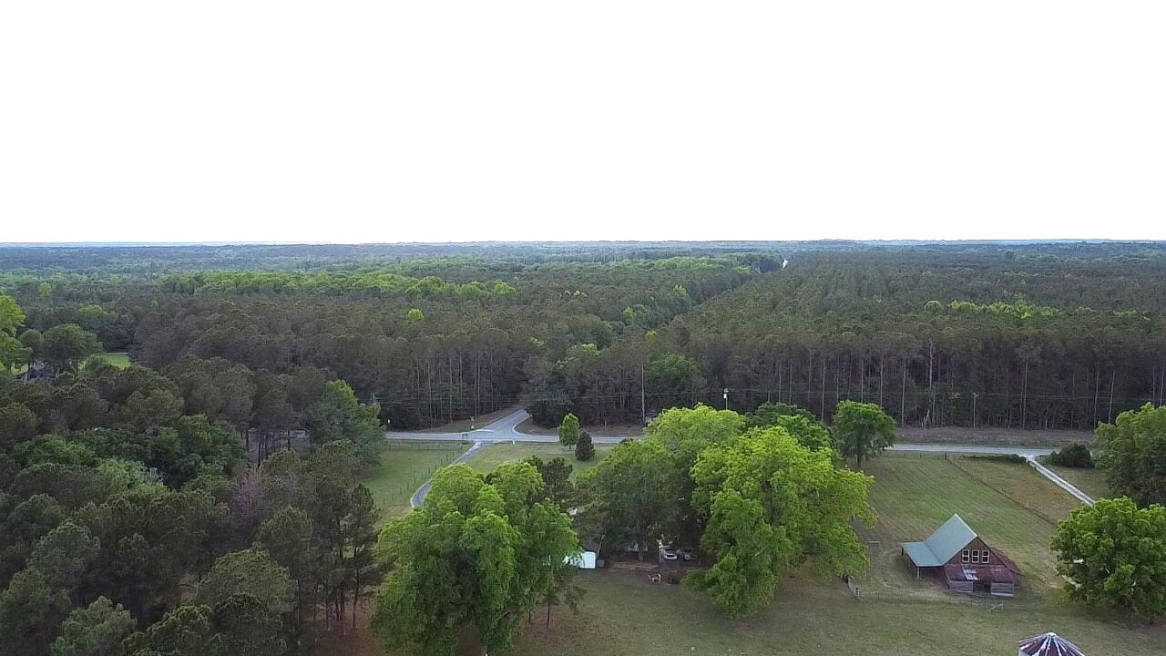 1616 Mt Pleasant Road Thomson, GA 30824 - Photo 61 of 62 67065