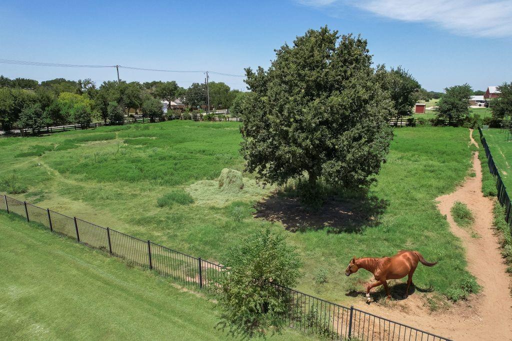 521 Martingale Trail Oak Point, TX 75068 - Photo 20 of 36 a backyard of a house with lots of green space