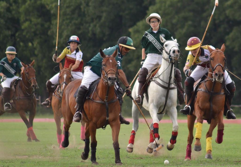 521 Martingale Trail Oak Point, TX 75068 - Photo 22 of 36